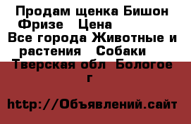 Продам щенка Бишон Фризе › Цена ­ 30 000 - Все города Животные и растения » Собаки   . Тверская обл.,Бологое г.